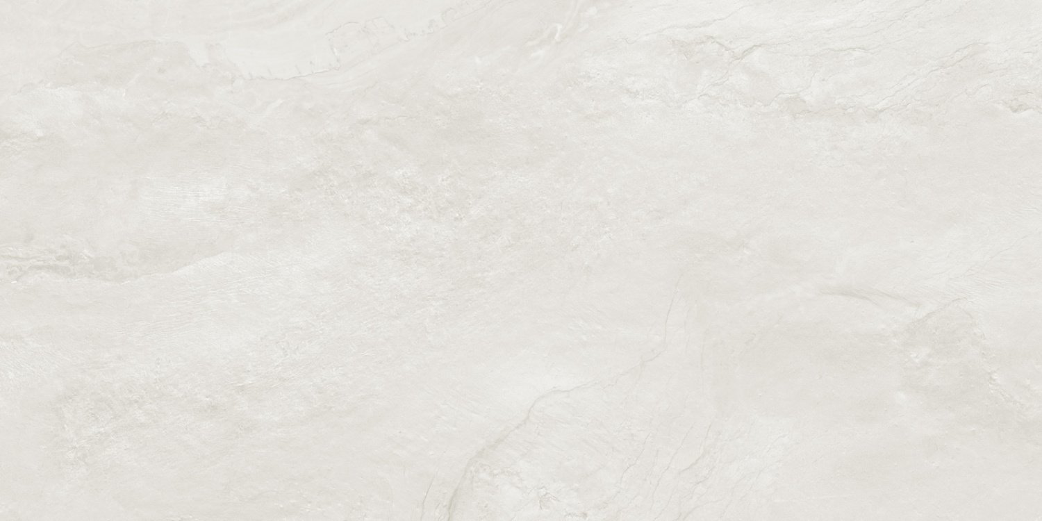 argenta gray 600x1200 12 лиц 