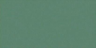 керамическая плитка genesis green matt 30x60 Бирюзовый